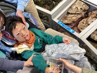 しおだまり ウニ体験