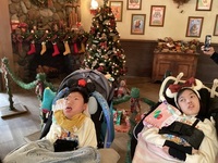 ディズニーランド カントリーベアシアター